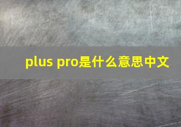 plus pro是什么意思中文